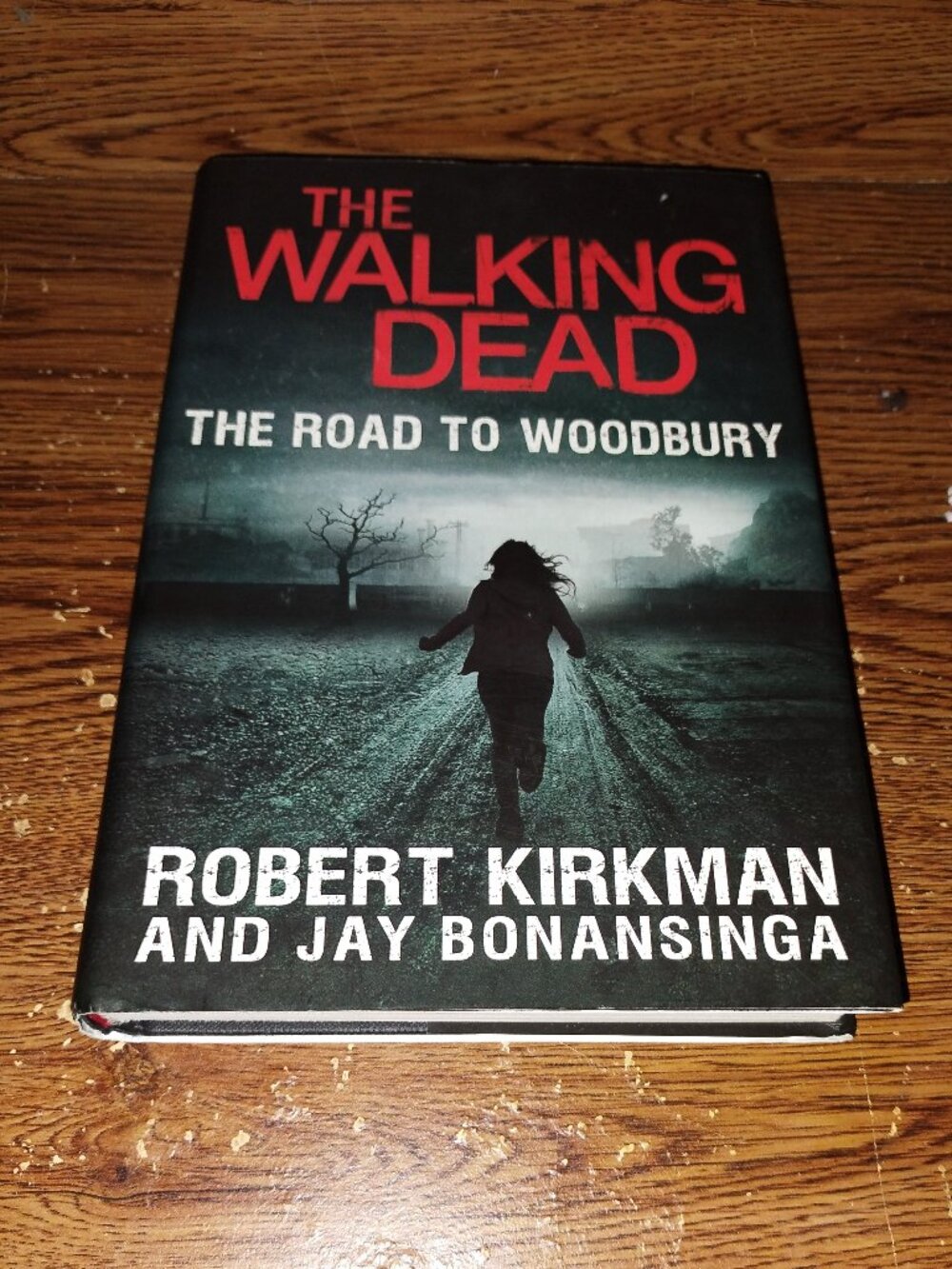 The Walking Dead : Descent (Robert Kirkman, 2014) First Edition Hardcover Book